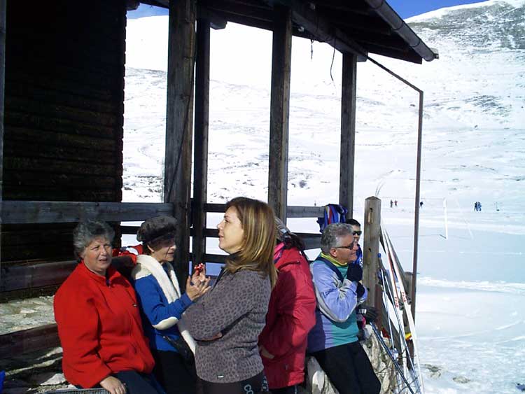Le lucertole