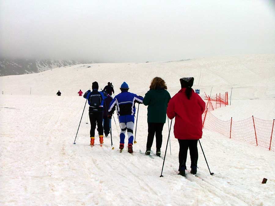 La neve è gialla per la sabbia caduta con la pioggia.