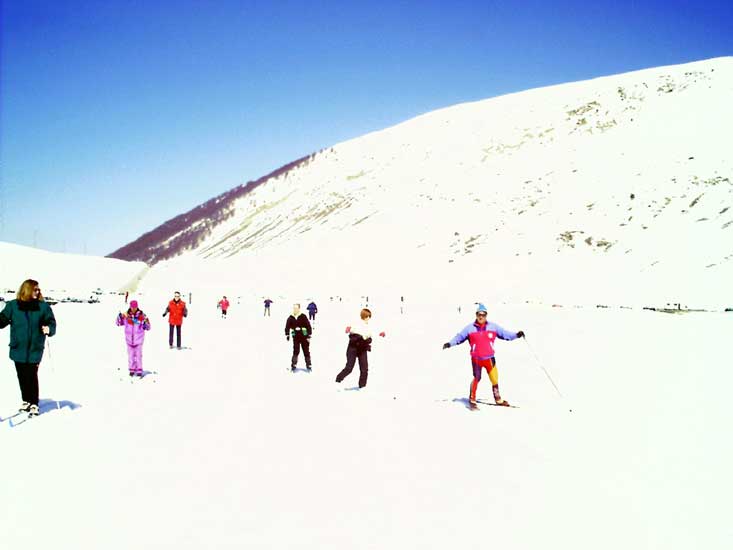 Il gruppo dilaga !